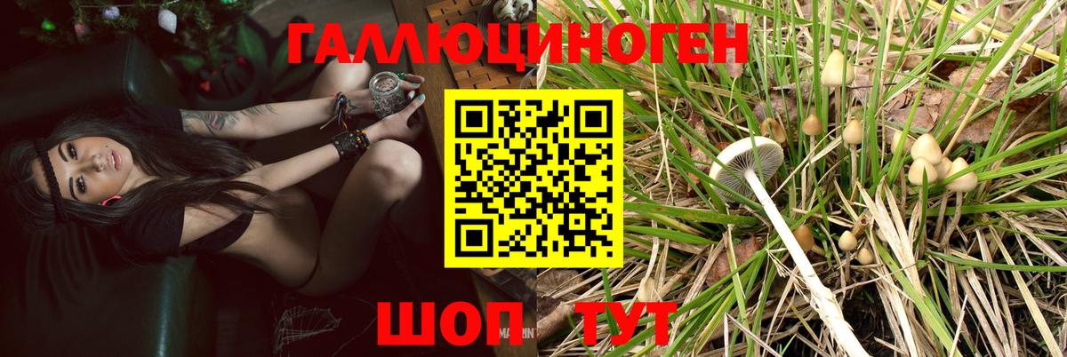 Галлюциногенные грибы ЛСД Кубинка